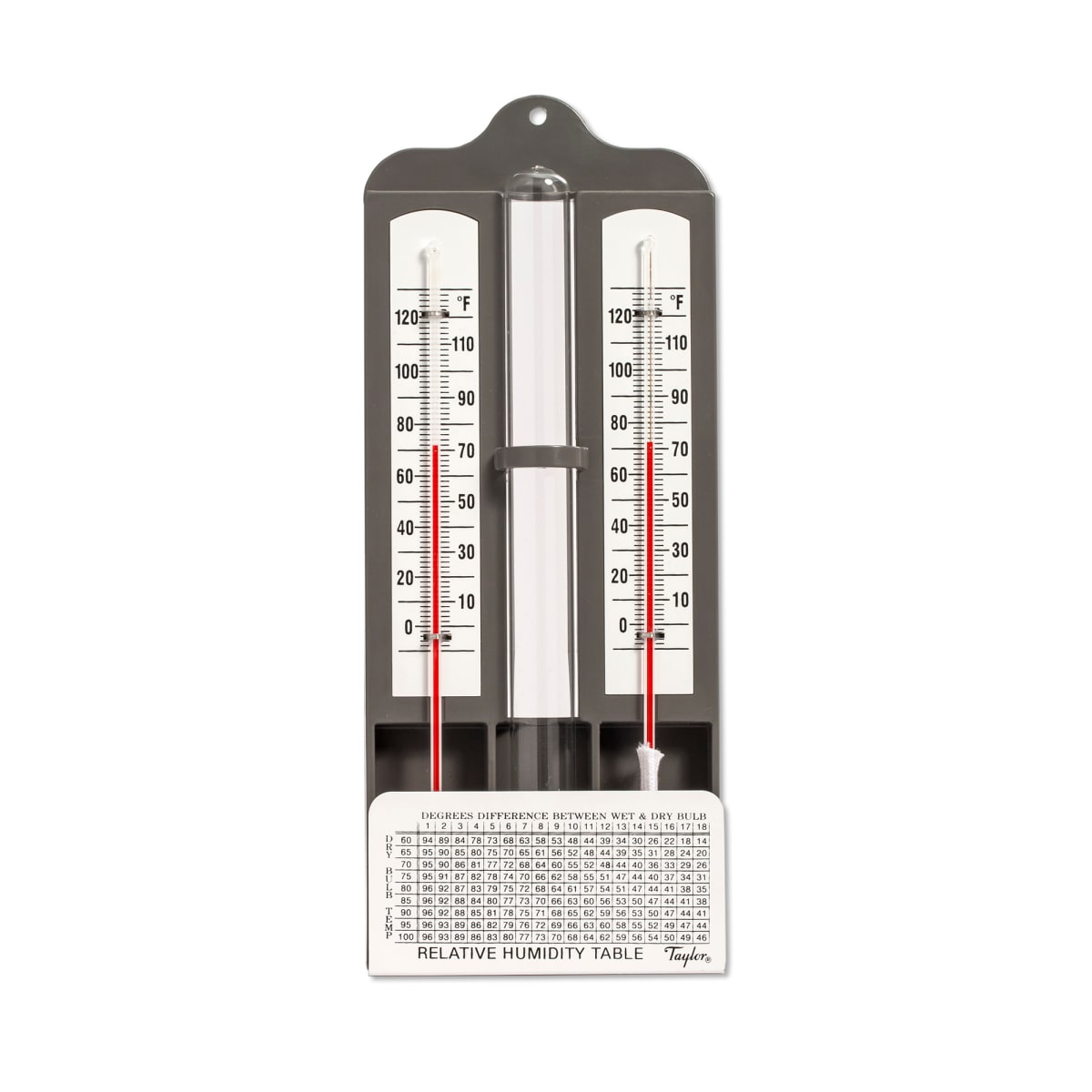 Taylor Hygrometer/Temperature/Time Digital Thermometer Plastic Black