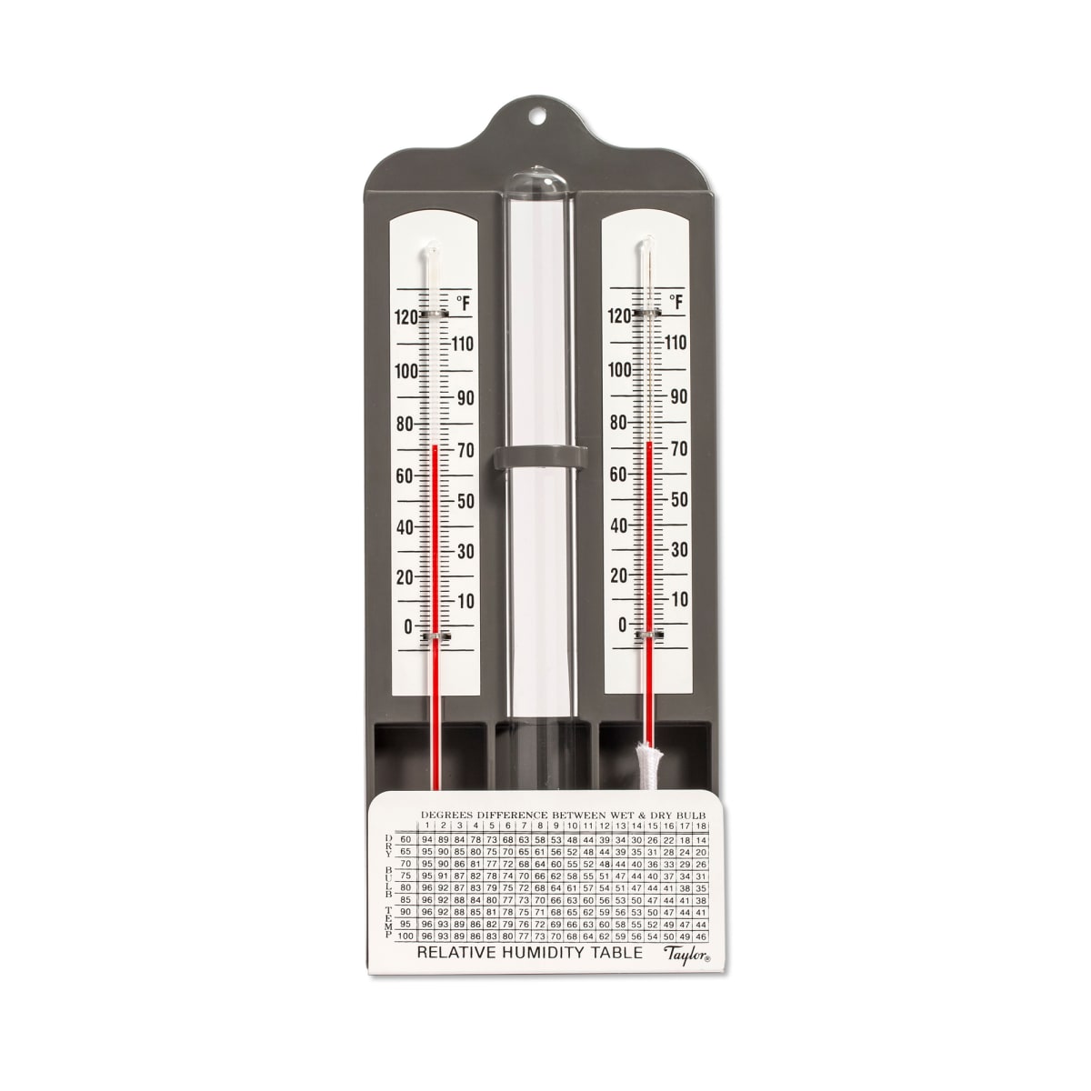 5380N Taylor Window/Wall Thermometer, indoor/outdoor