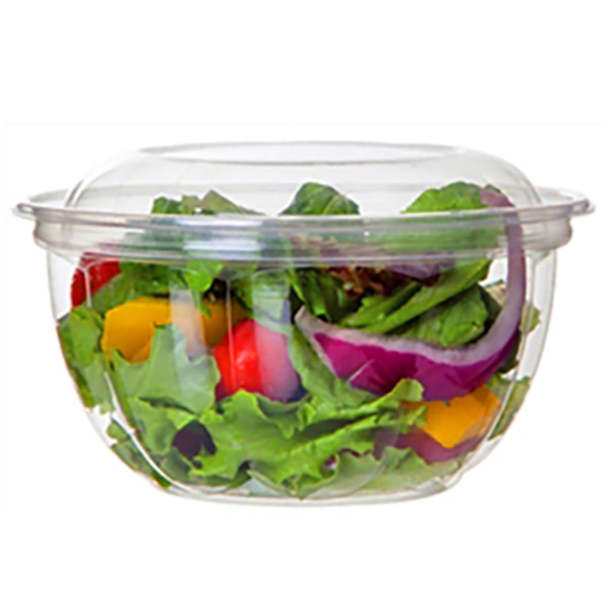 18oz Crystal Clear Plastic Disposable Salad Bowls with Lids To-Go