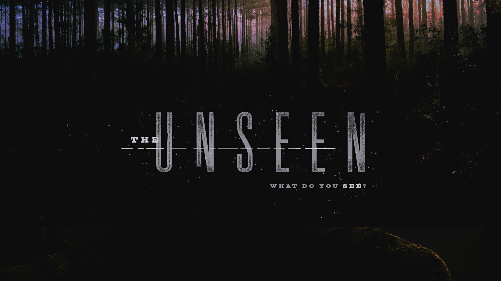 The Unseen