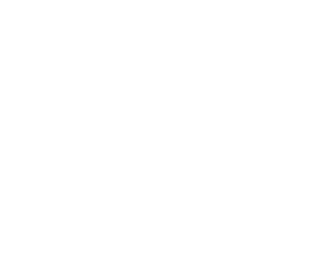 Home Run Life