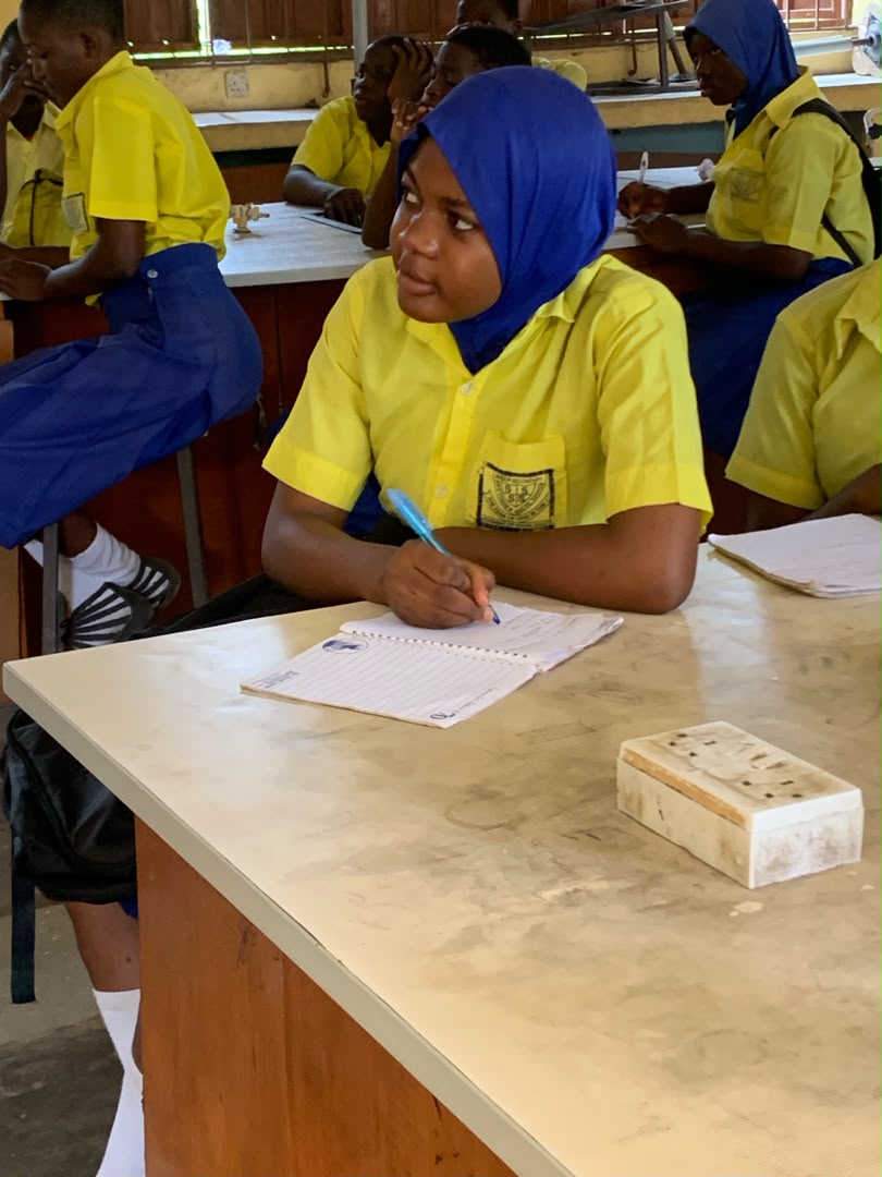 SELI students and participants