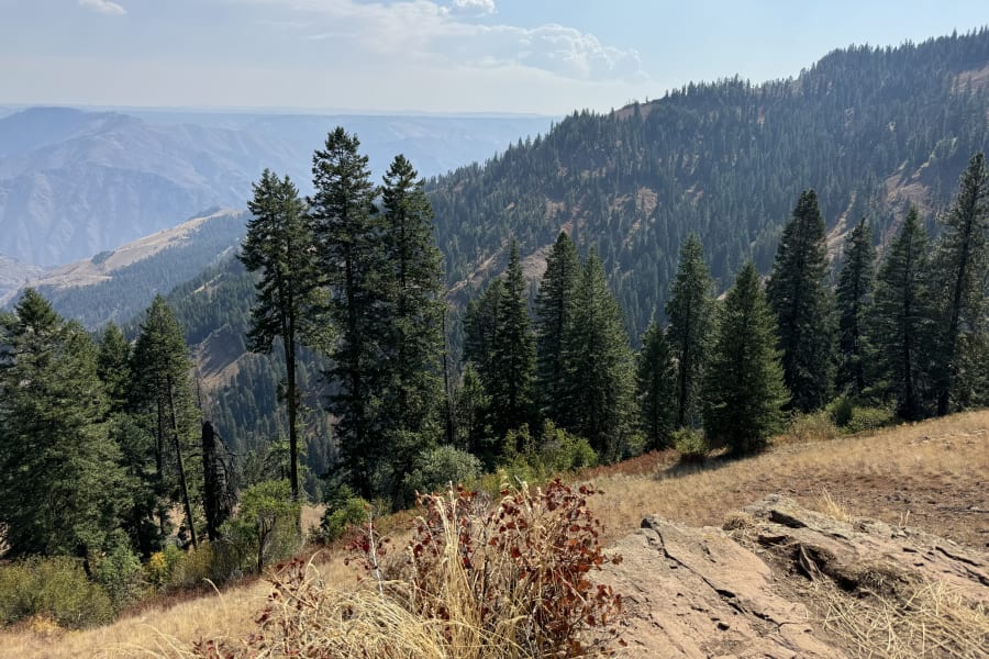 review-image