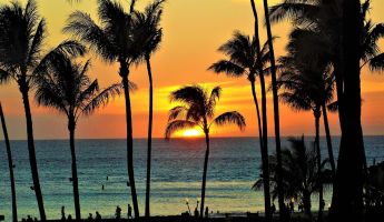 Aloha on Asphalt: Top 9 Motorcycle Rides in Hawaii