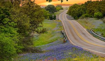 Heading to Austin? Here are Customer Favorite Motorcycle Rides & BBQs