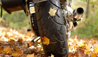 Bikes To Be Thankful For: Nick's Picks November 2021