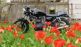 See The Tulips On Two Wheels: Nick's Picks May 2022