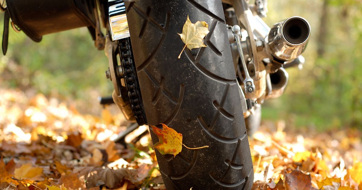 Bikes To Be Thankful For: Nick's Picks November 2021