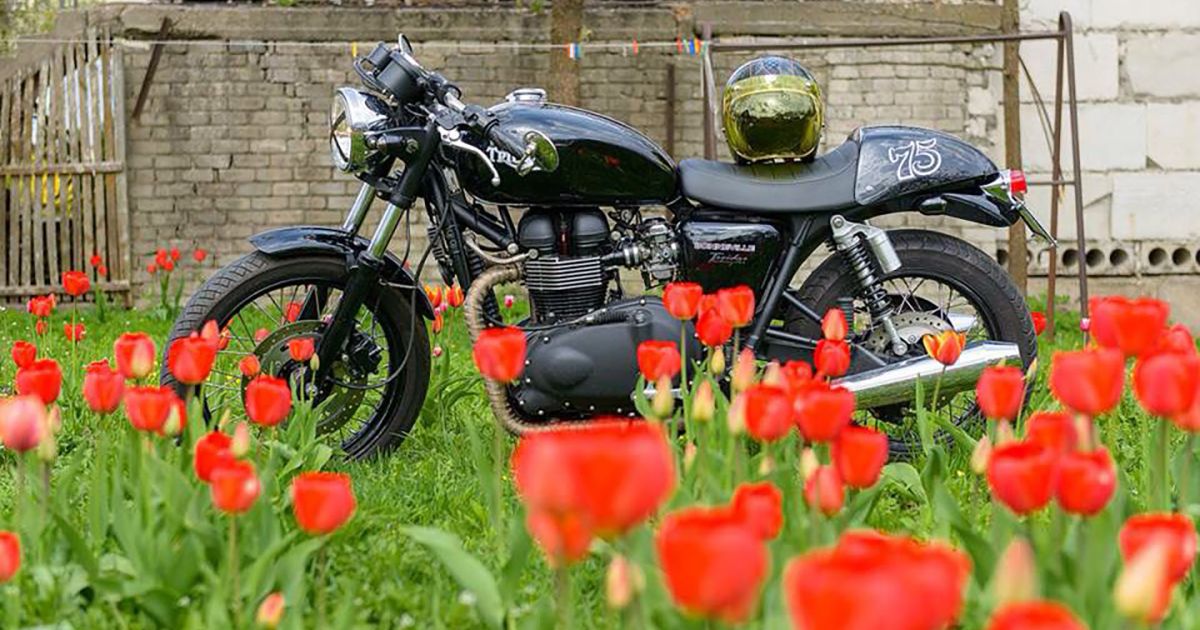 See The Tulips On Two Wheels: Nick's Picks May 2022