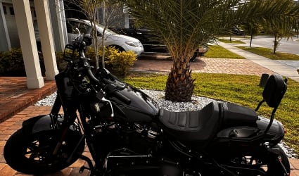 2023 Harley-Davidson Fat Bob 114 motorcycle rental in Kissimmee, FL