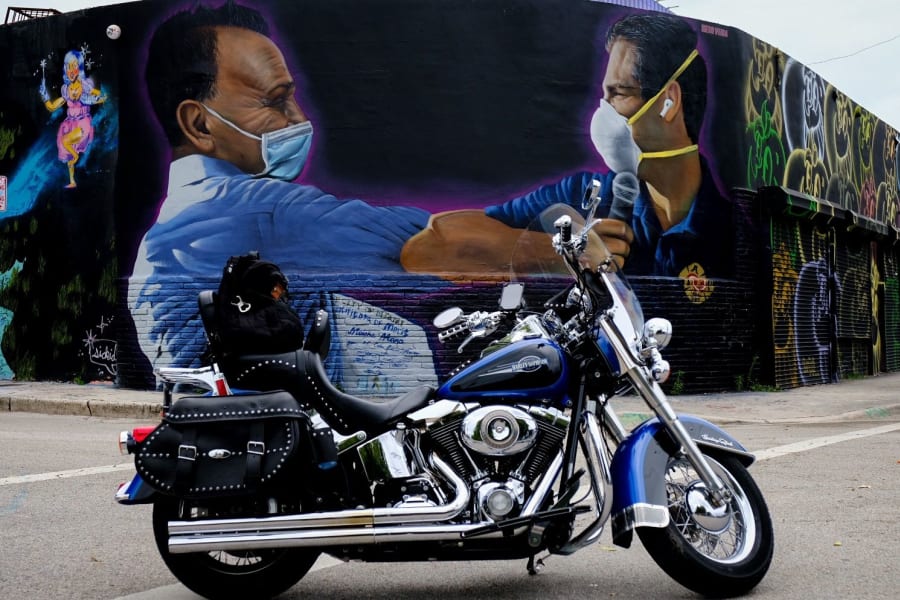 2008 Harley-Davidson FLSTC Softail Motorcycle Rental in Miami, FL