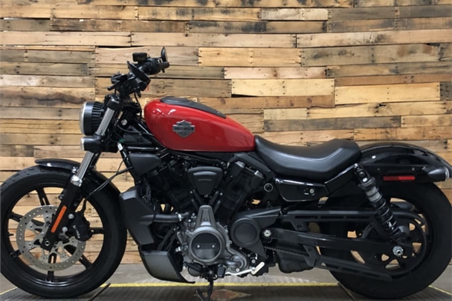 2023 HarleyDavidson Nightster Motorcycle Rental in Nacogdoches, TX m