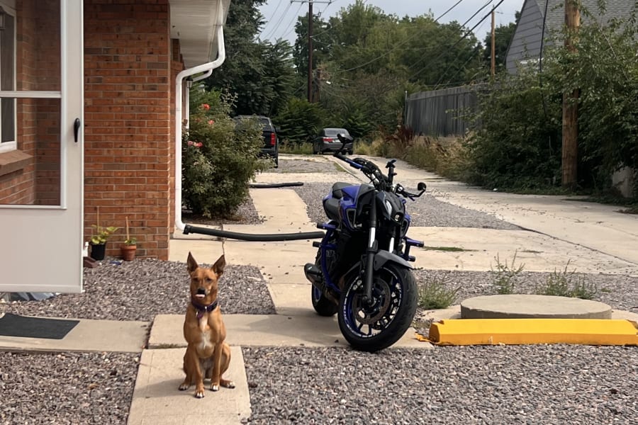 bike-image