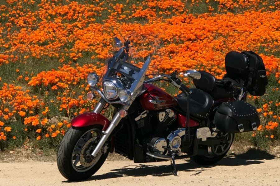 bike-image