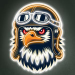 American MotorSports's Profile