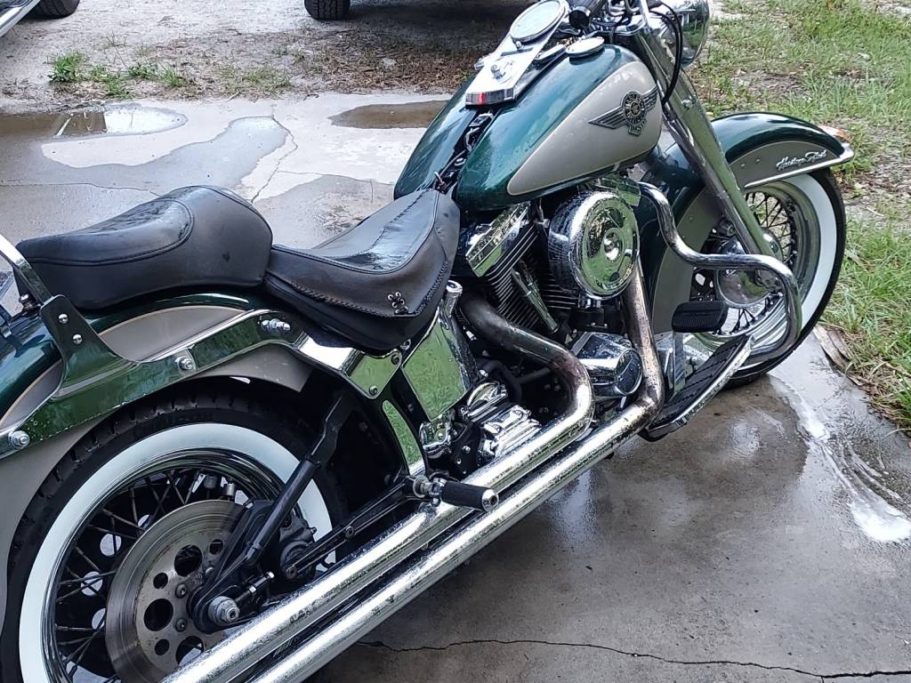 1996 Harley-Davidson Heritage Softail Special Motorcycle Rental in 