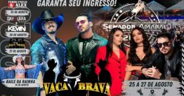 Festa do Peão de Senador Amaral 2023