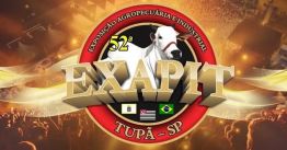 Exapit 2023