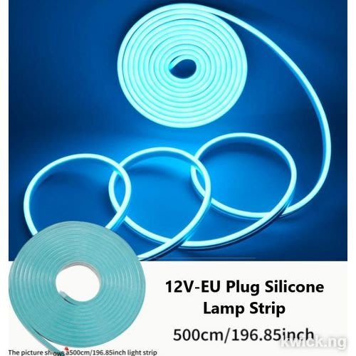 12V Neon Blue Light 5metres LED Flexible Strip Light,Neon Rope lights Snake Lights-With EU Plug