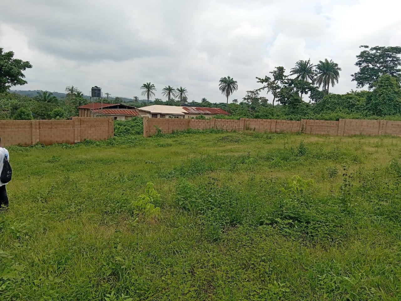 1200m² of Dry Land