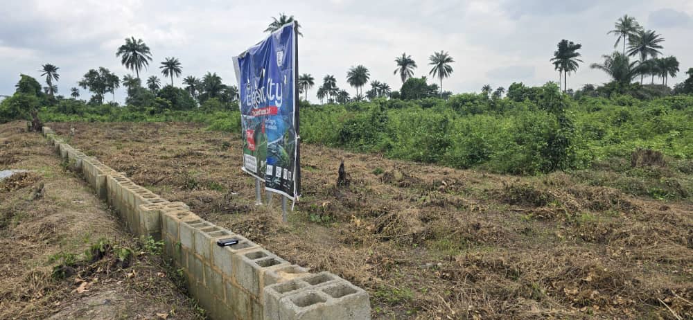 Land for Sale in Ibefun, Ogun State | Elegant City by Fara Real Estate Limited