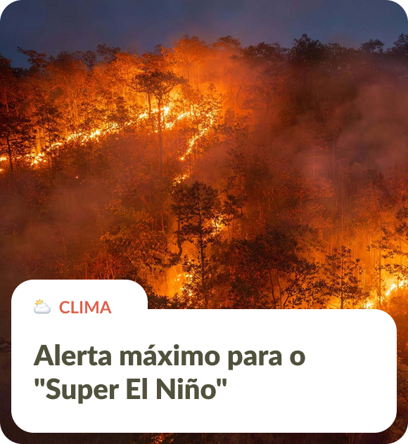 Queimadas do El Niño