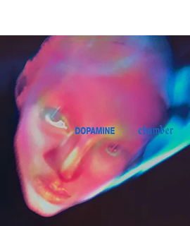 Dopamine Chamber, Fontaines D.C.