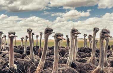 An Outbound Travel Company