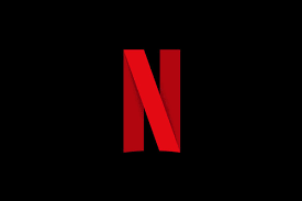 Netflix Subscription