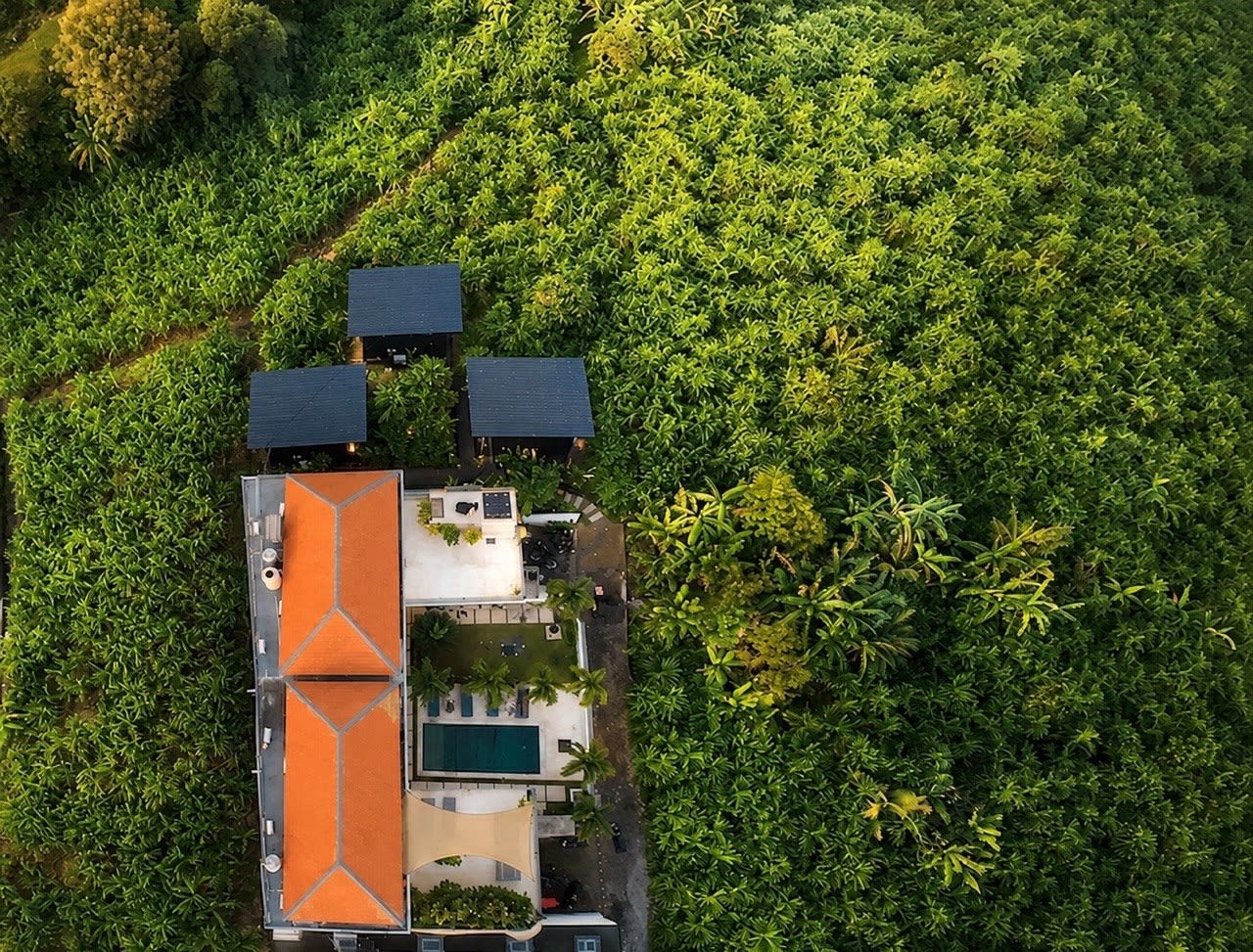 Surrounded by peaceful jungle