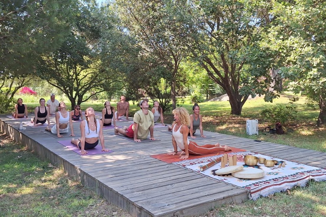Vinyasa Yoga Flow