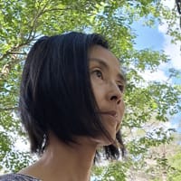 Masami Iitaka