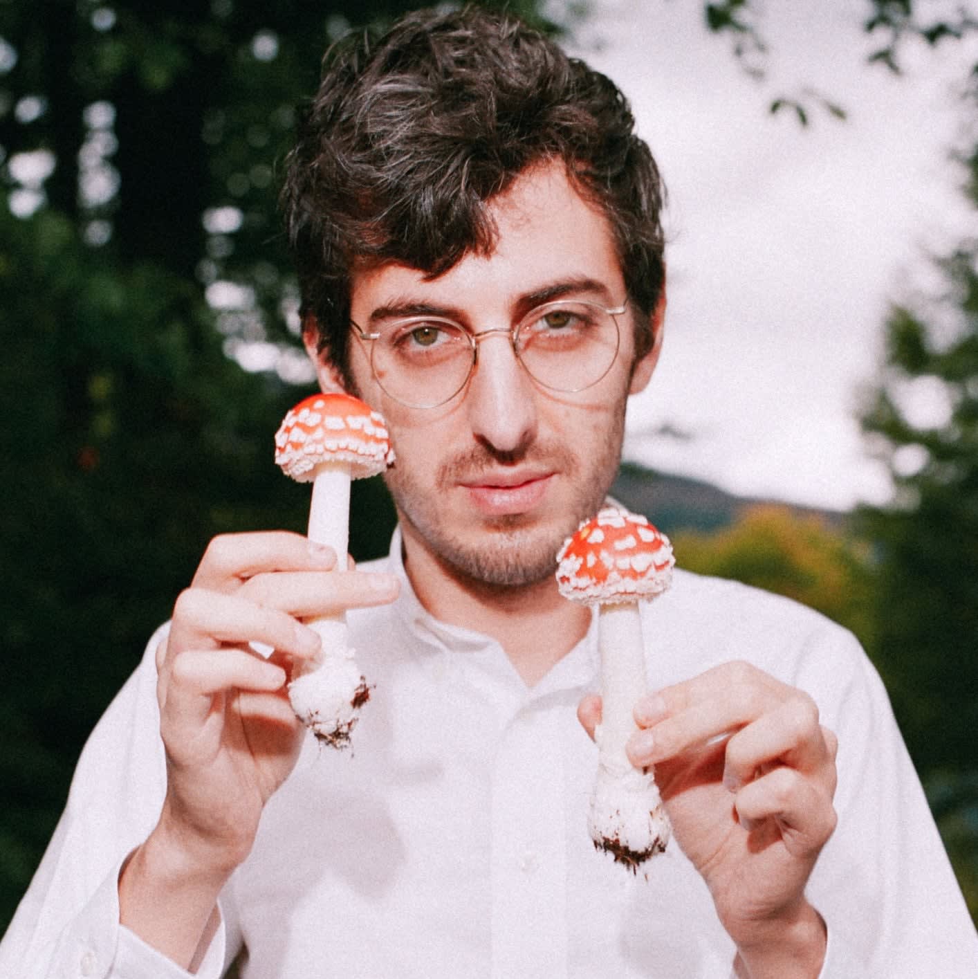 Hamilton Morris