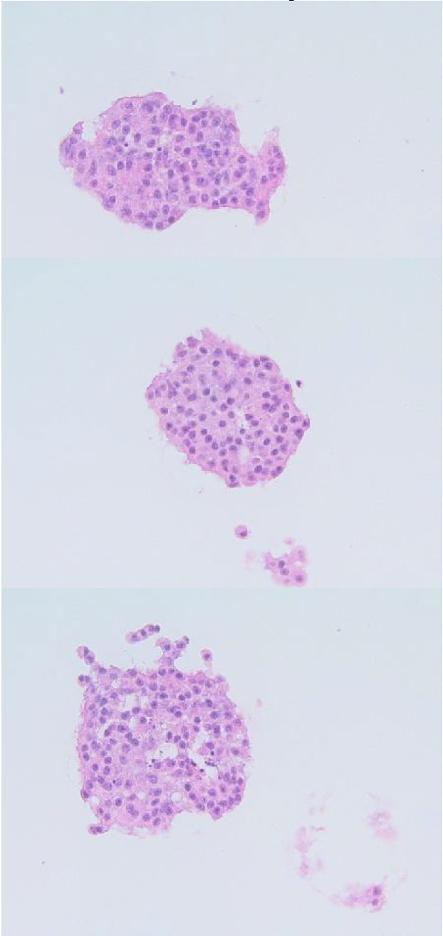 Islets case study picture