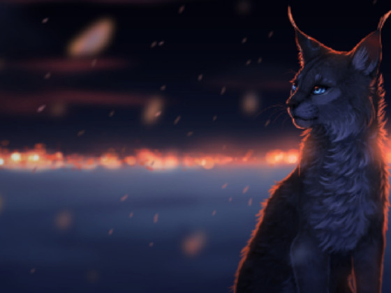 warrior cats