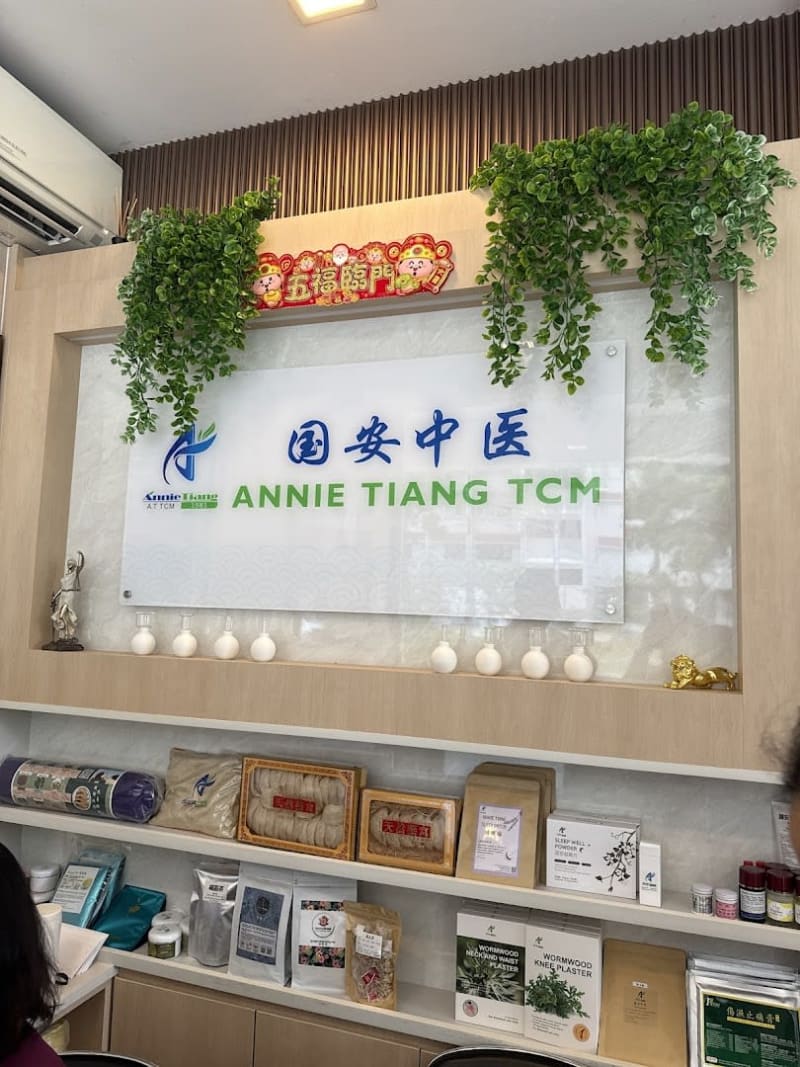 Annie Tiang TCM 国安中医