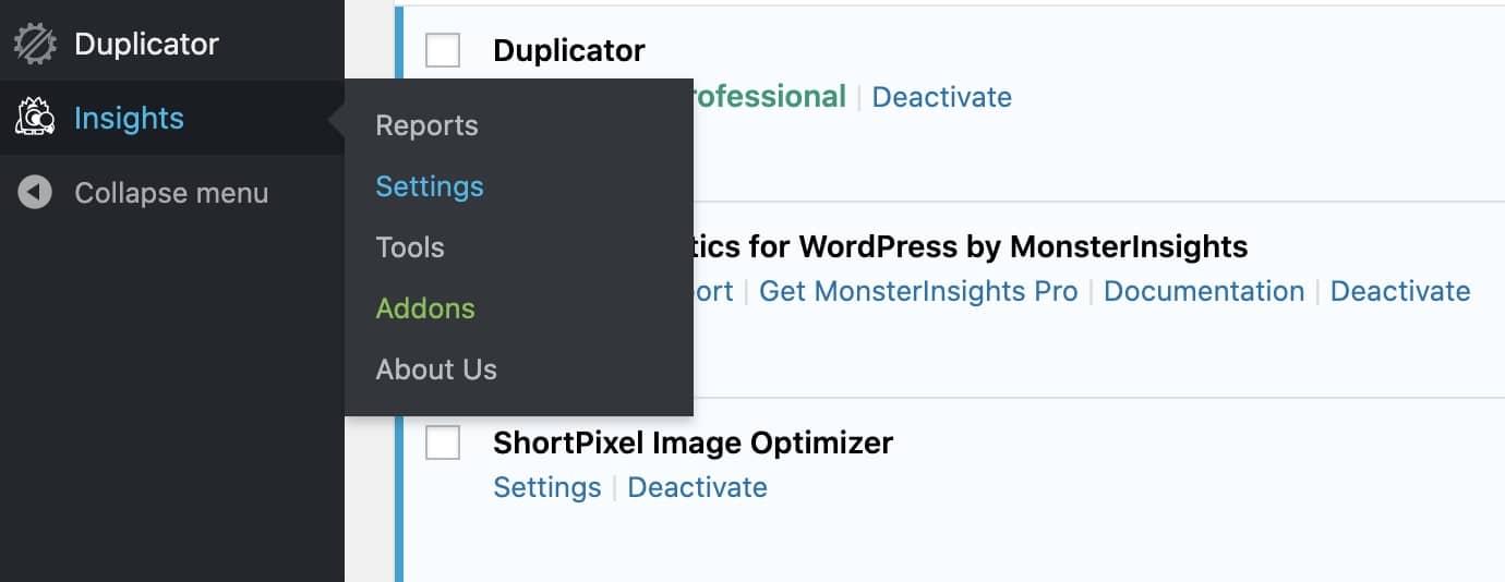 MonsterInsights - Settings