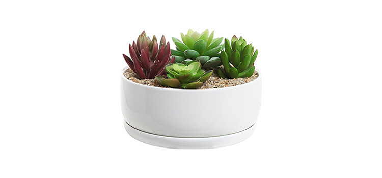 6 inch White Ceramic Round Succulent Planter Bowl