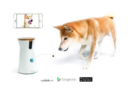 Furbo Dog Camera