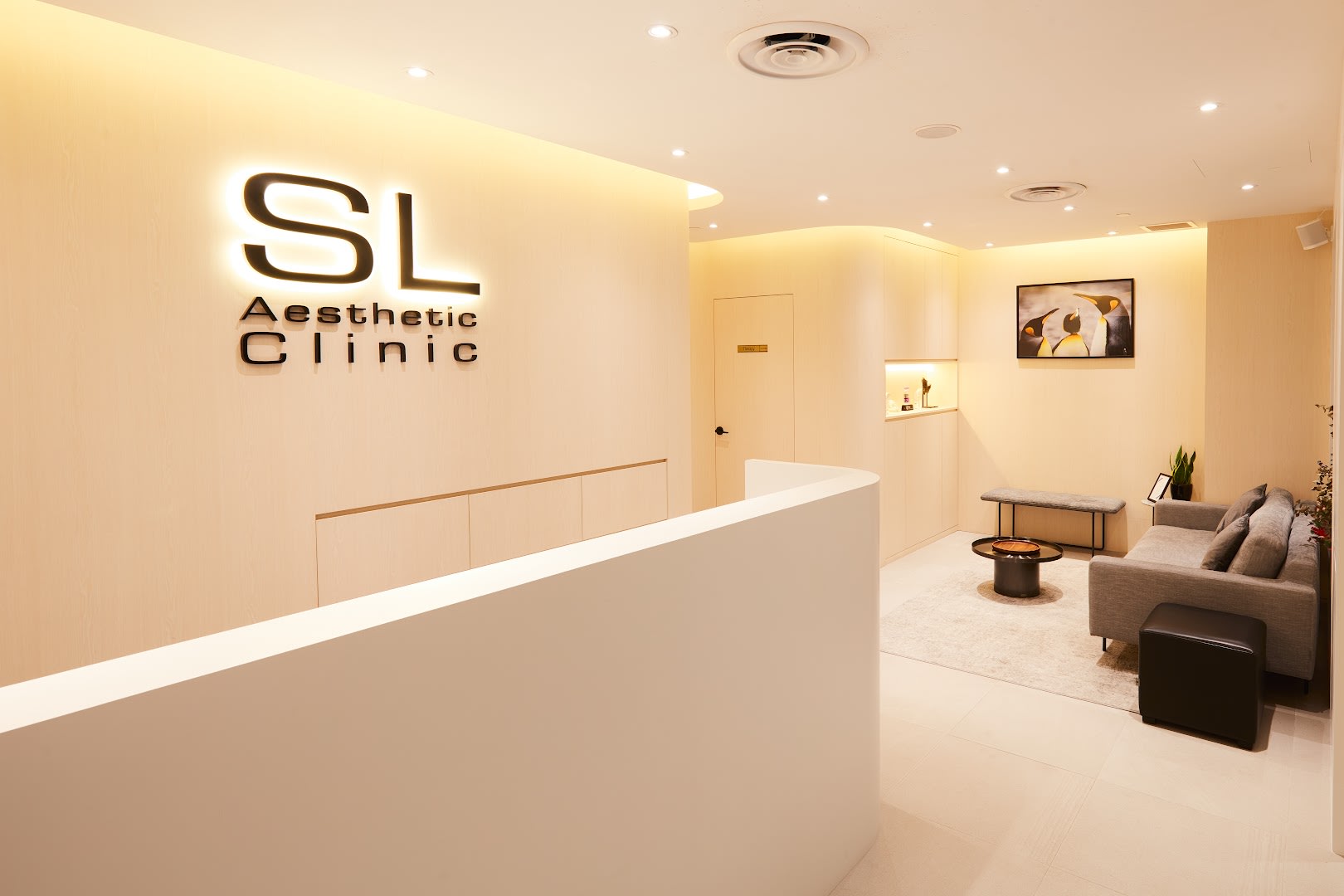 SL Aesthetic Clinic (Orchard Plaza Singapura) SL Aesthetic Clinic (Orchard Plaza Singapura)