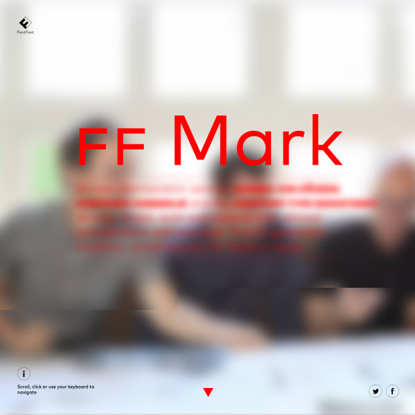 screenshot of FF Mark