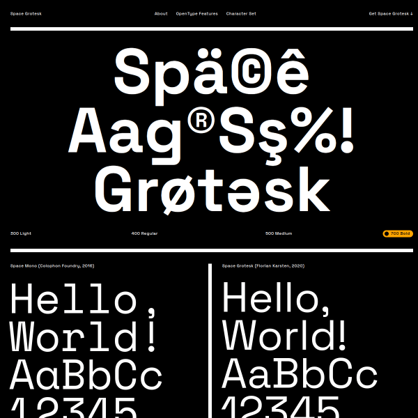 screenshot of Space Grotesk