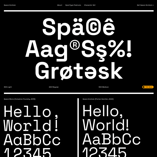 screenshot of Space Grotesk