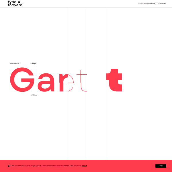 screenshot of Garet