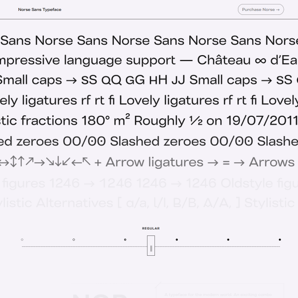screenshot of Norse Sans