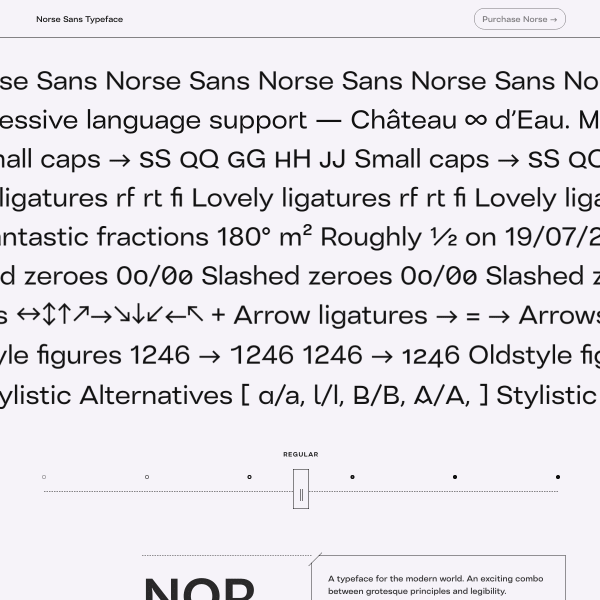 screenshot of Norse Sans