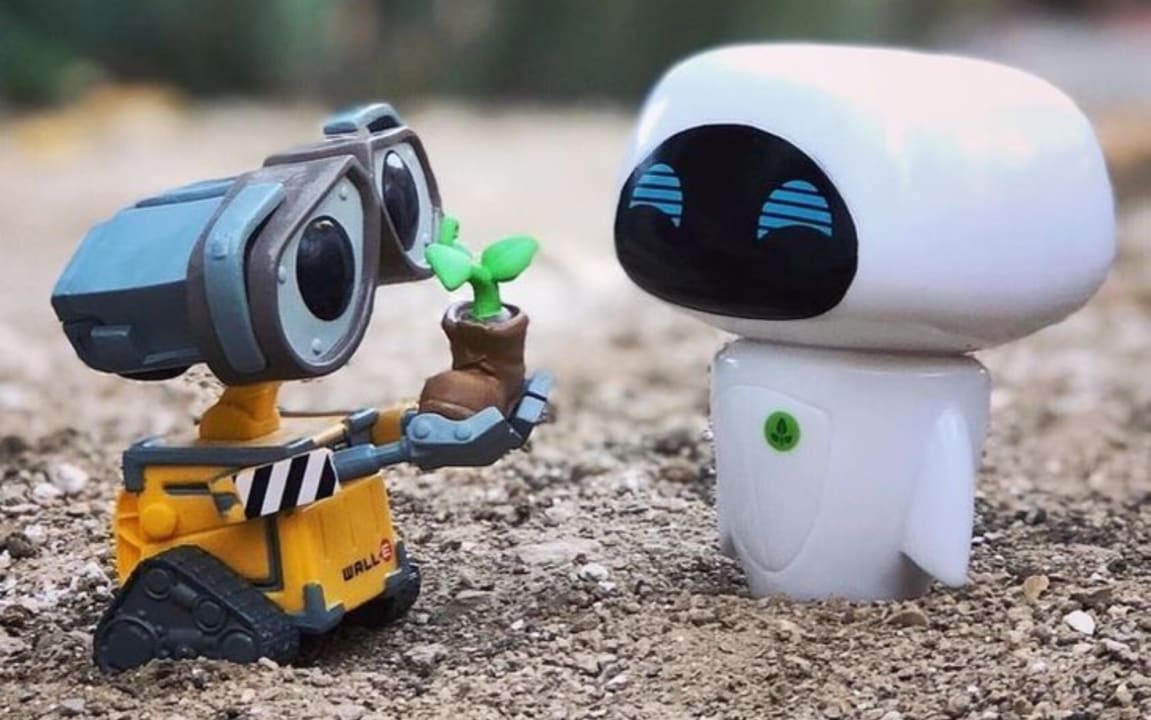 Comparto Disney 🏰