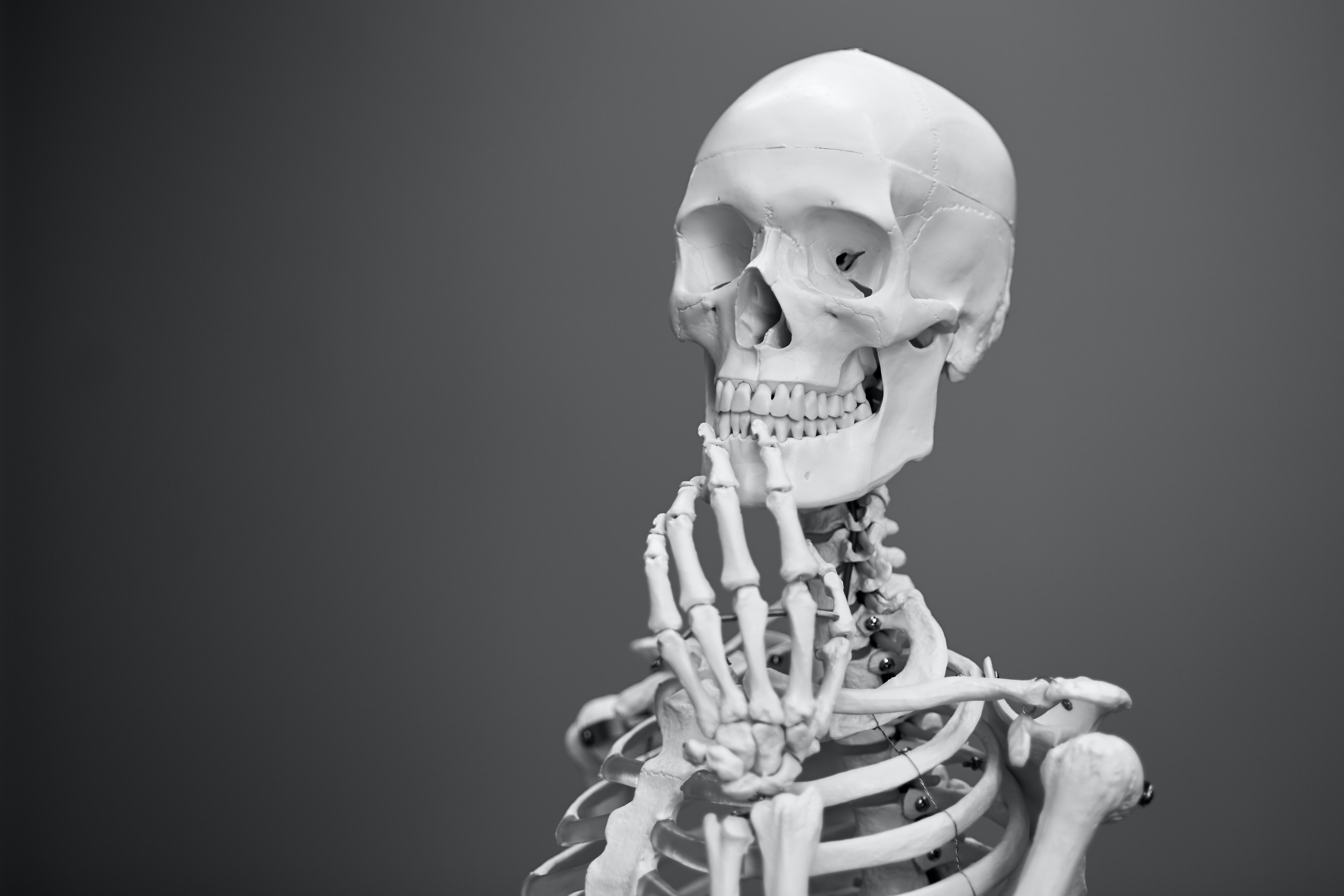 a skeleton pondering their thoughts