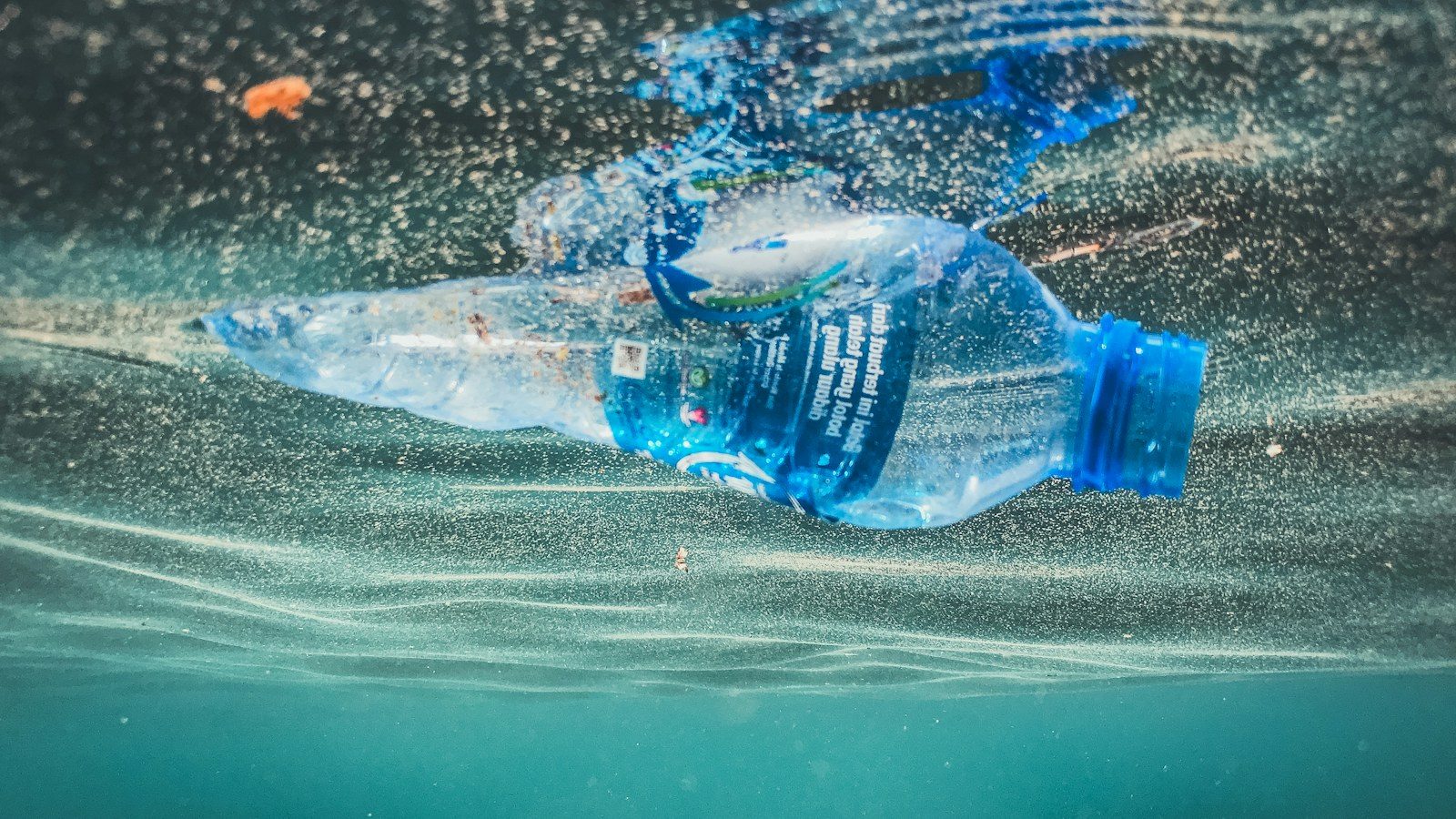 Los microplásticos fabrican sustancias dañinas por sí solos, solo con estar en agua