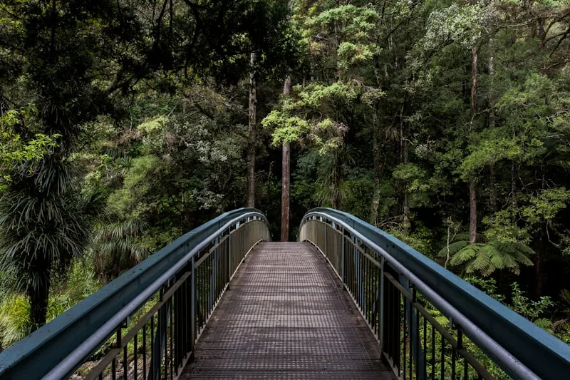 Deshapriya Park photography landscape